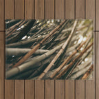 Bamboo Study 2 Outdoor Rug Gallery Image 1