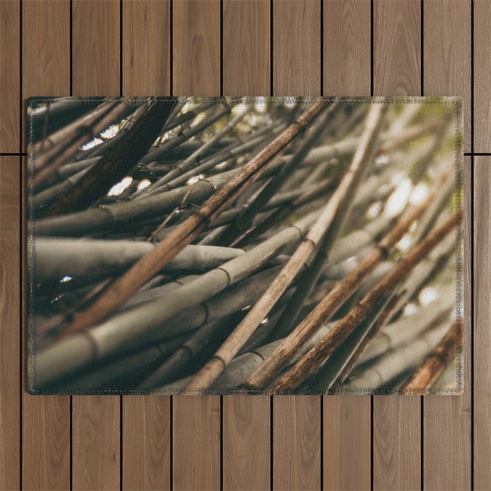 Bamboo Study 2 Outdoor Rug Gallery Image 1