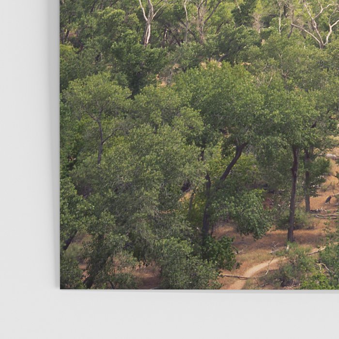 Zion Valley Utah Beauty Poster Gallery Image 3