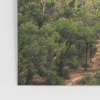 Zion Valley Utah Beauty Poster Gallery Image 3