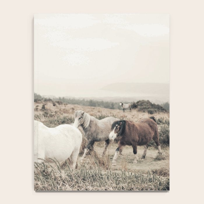 Wild horses on the endless highlands 3 Notebook Gallery Image 4