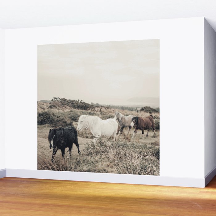 Wild horses on the endless highlands 3 Wall Mural Gallery Image 2