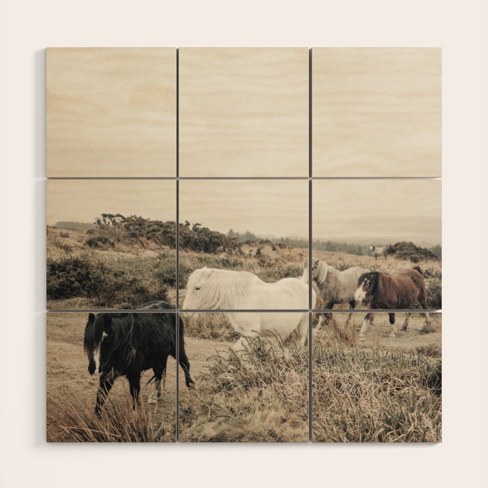 Wild horses on the endless highlands 3 Wood Wall Art Gallery Image 1