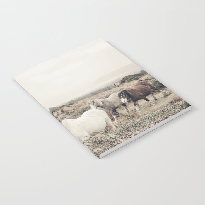 Wild horses on the endless highlands 3 Notebook Gallery Image 2