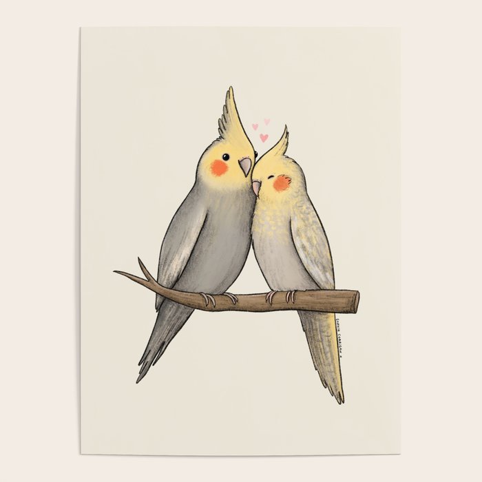 Cockatiel Cuddle Poster Gallery Image 4