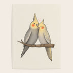Cockatiel Cuddle Poster Gallery Image 4