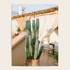 Rooftop Cactus | Morocco Travel Photography Poster Gallery Image 4