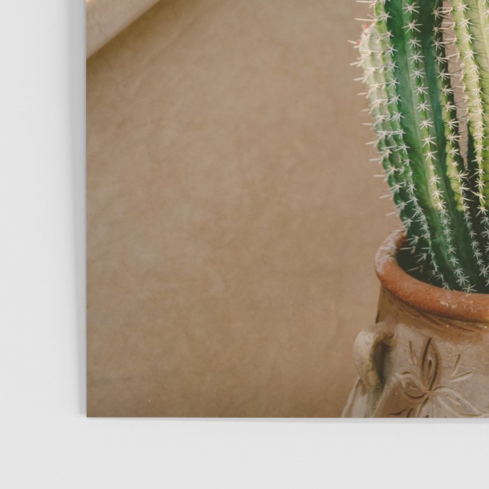 Rooftop Cactus | Morocco Travel Photography Poster Gallery Image 3