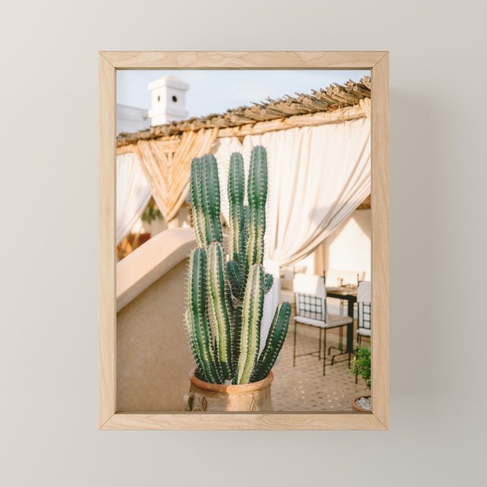 Rooftop Cactus | Morocco Travel Photography Mini Art Print Gallery Image 1
