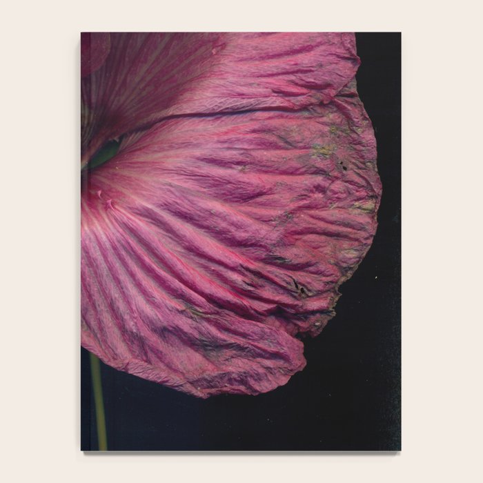 Imperfections Moody Botanical Pink Flower Photograph Notebook Gallery Image 4