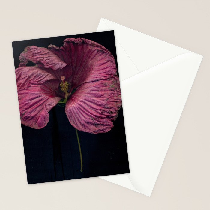 Imperfections Moody Botanical Pink Flower Photograph Stationery Card Gallery Image 2