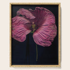 Imperfections Moody Botanical Pink Flower Photograph Serving Tray Gallery Image 1