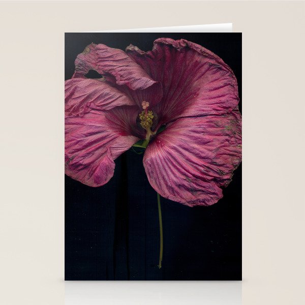 Imperfections Moody Botanical Pink Flower Photograph Stationery Card Gallery Image 2