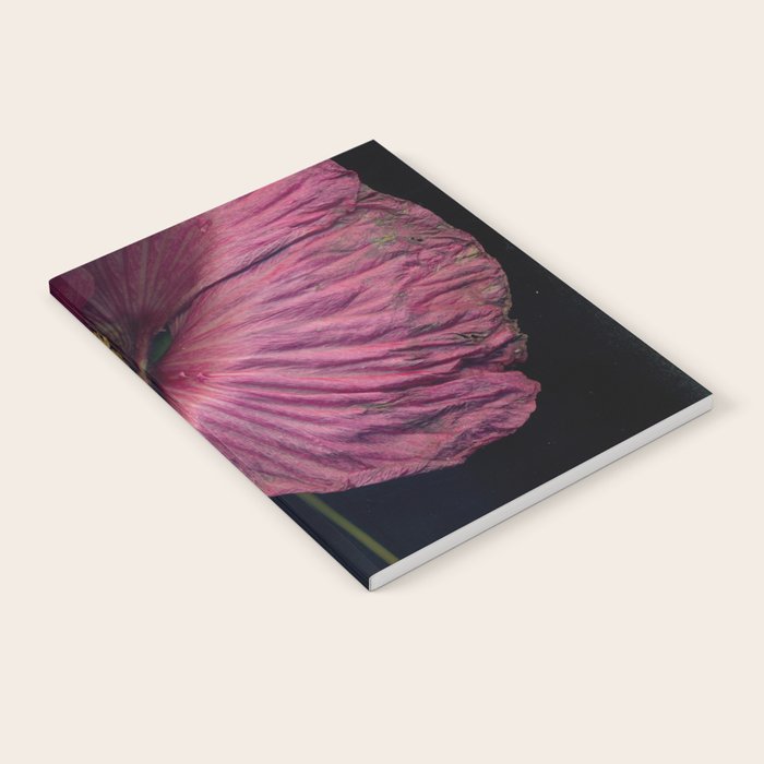 Imperfections Moody Botanical Pink Flower Photograph Notebook Gallery Image 2