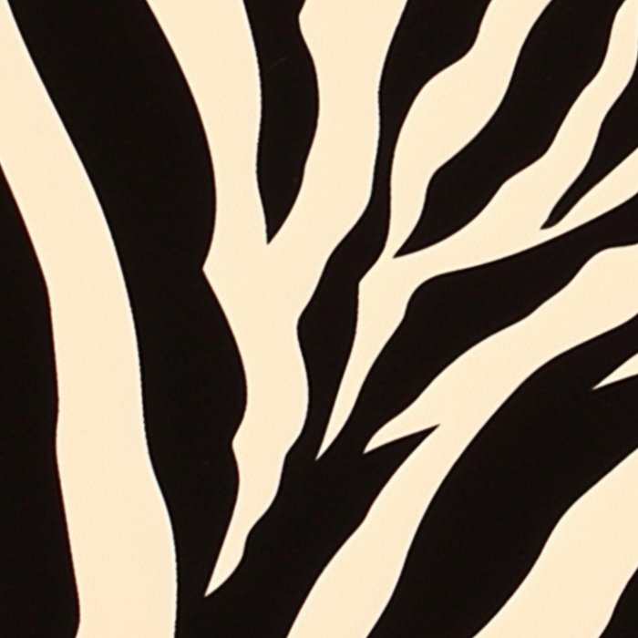 Zebra African Animal Print Pattern Coffee Mug Gallery Image 2