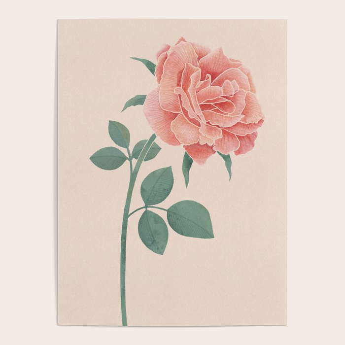 A Simple Rose Poster Gallery Image 4