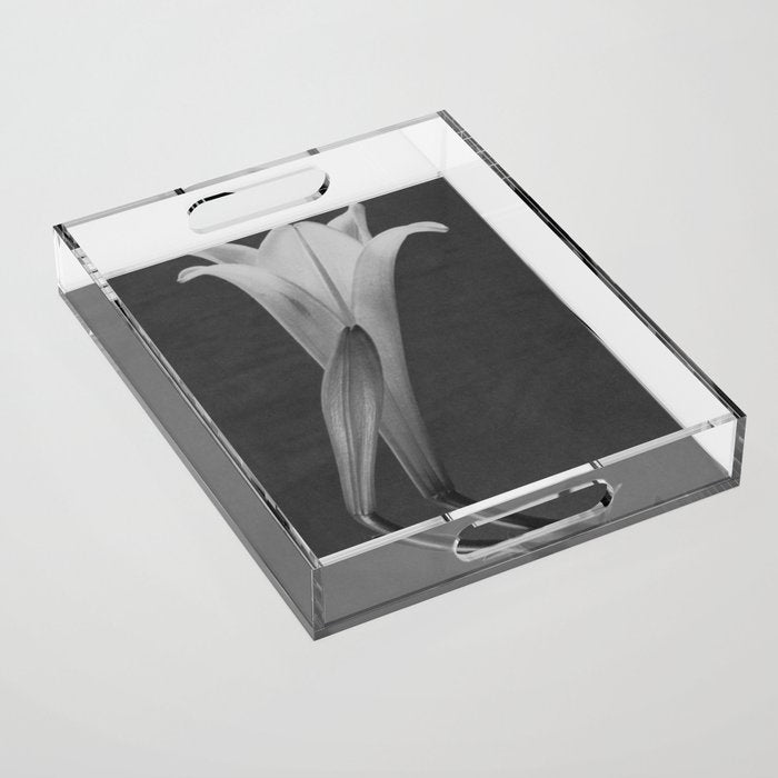 Tulip Blossoms floral black and white photography / photograph Acrylic Tray Gallery Image 1
