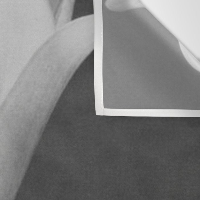 Tulip Blossoms floral black and white photography / photograph Wall Tapestry Gallery Image 3