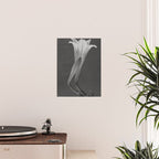 Tulip Blossoms floral black and white photography / photograph Poster Gallery Image 2