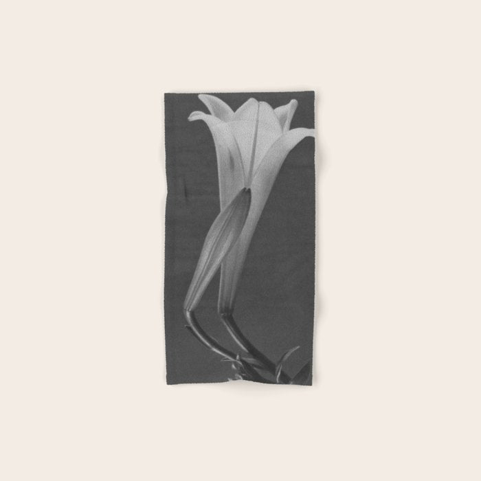 Tulip Blossoms floral black and white photography / photograph Bath Towel Gallery Image 1