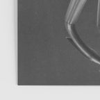 Tulip Blossoms floral black and white photography / photograph Poster Gallery Image 3