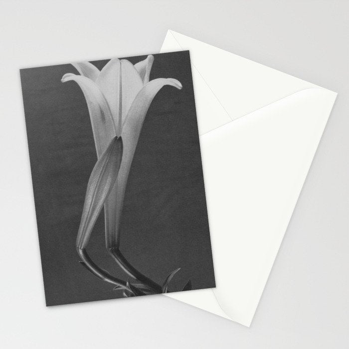 Tulip Blossoms floral black and white photography / photograph Stationery Card Gallery Image 2