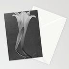 Tulip Blossoms floral black and white photography / photograph Stationery Card Gallery Image 2