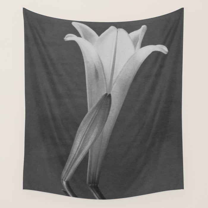 Tulip Blossoms floral black and white photography / photograph Wall Tapestry Gallery Image 1