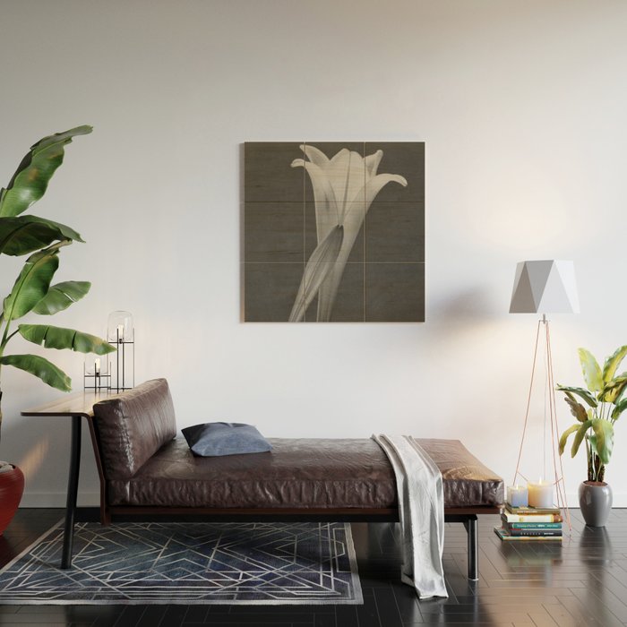 Tulip Blossoms floral black and white photography / photograph Wood Wall Art Gallery Image 2