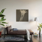 Tulip Blossoms floral black and white photography / photograph Wood Wall Art Gallery Image 2
