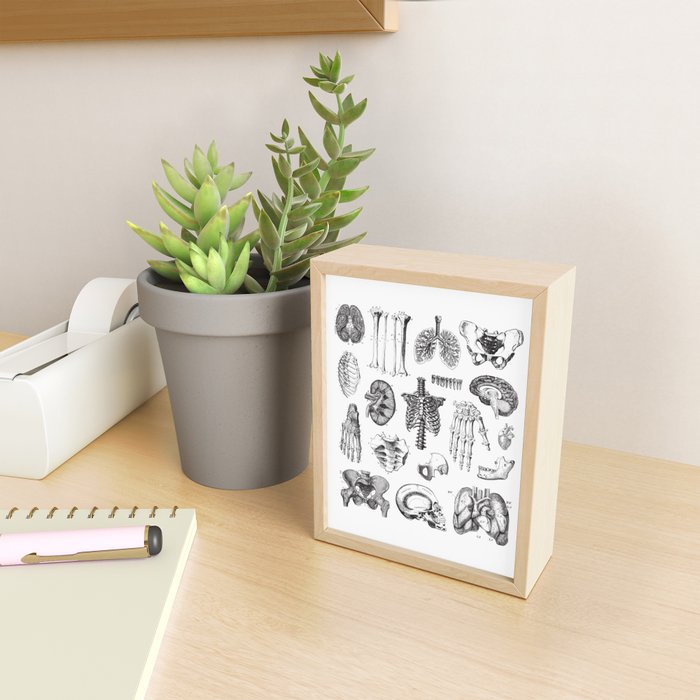 Human Anatomy Mini Art Print Gallery Image 2