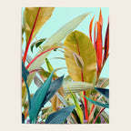 Tropical Jungle Poster Gallery Image 4
