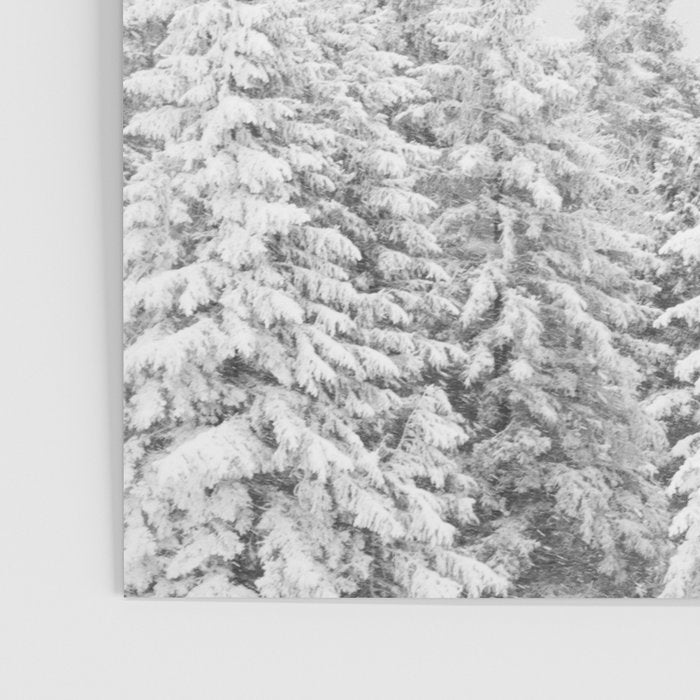 Snowy Evergreen Forest Poster Gallery Image 3