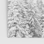 Snowy Evergreen Forest Poster Gallery Image 3