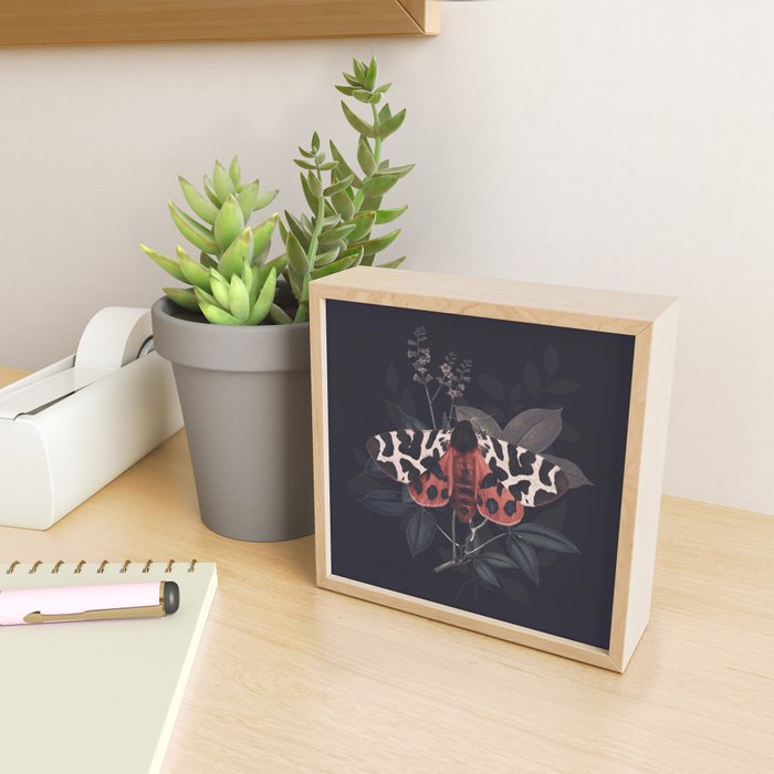 Night Butterfly Mini Art Print Gallery Image 2