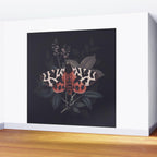 Night Butterfly Wall Mural Gallery Image 2