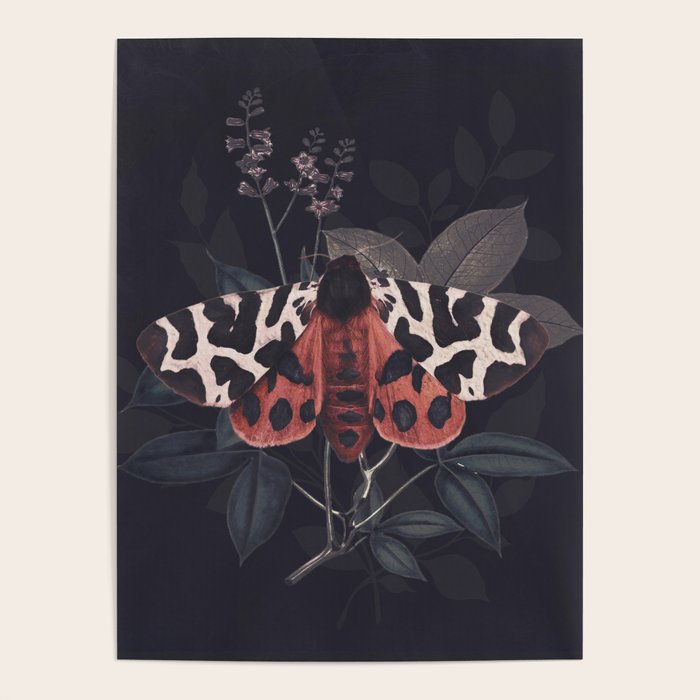 Night Butterfly Poster Gallery Image 1