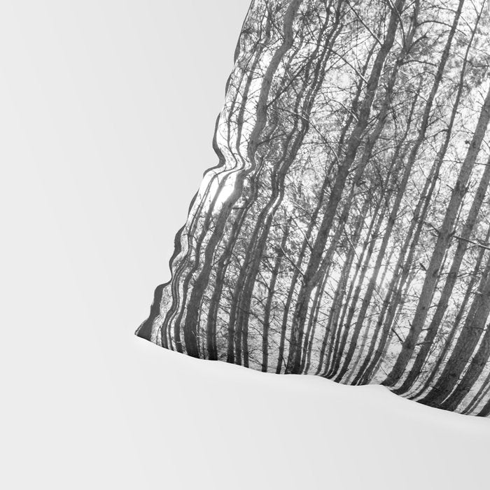 trees in forest landscape - black and white nature photography Pillow Sham Gallery Image 4