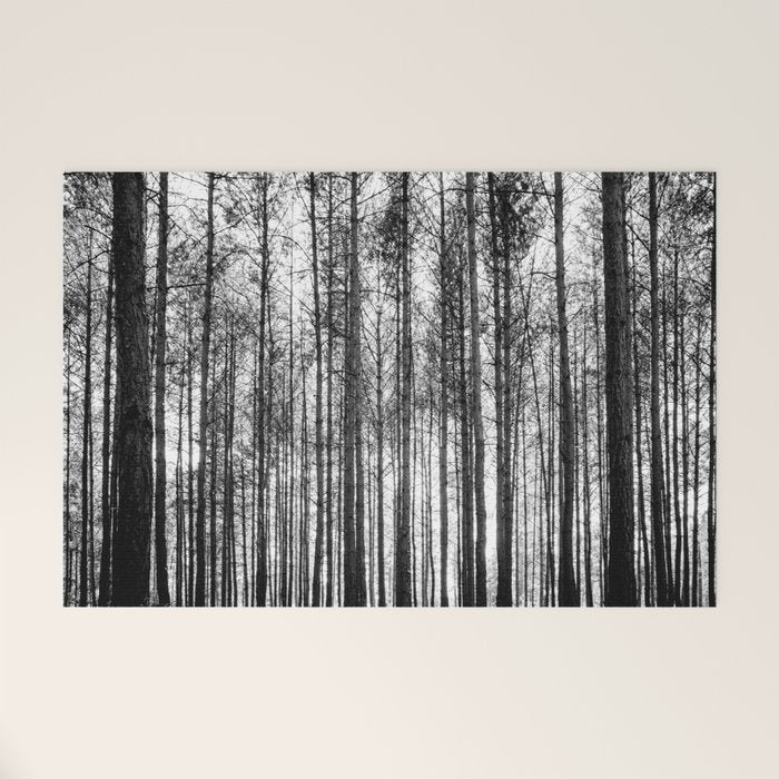 trees in forest landscape - black and white nature photography Welcome Mat Gallery Image 1
