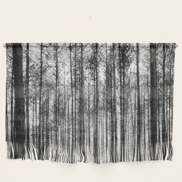 trees in forest landscape - black and white nature photography Wall Hanging Gallery Image 1