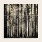 trees in forest landscape - black and white nature photography Wood Wall Art Gallery Image 1