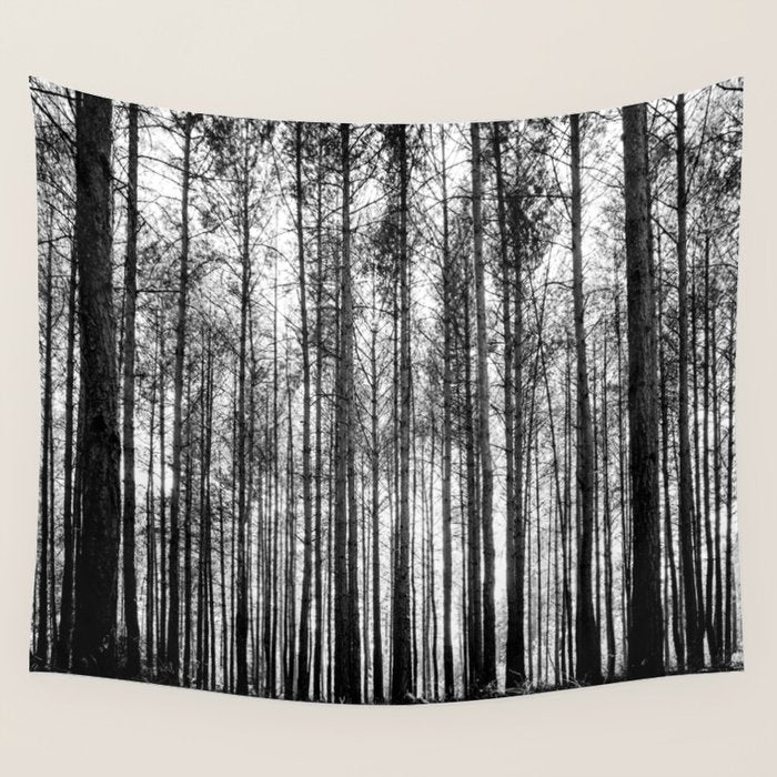 trees in forest landscape - black and white nature photography Wall Tapestry Gallery Image 4