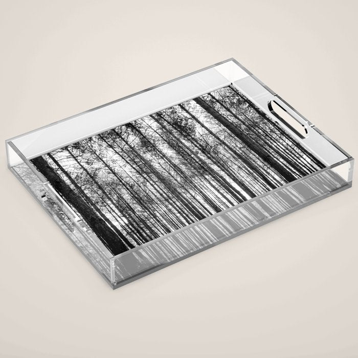 trees in forest landscape - black and white nature photography Acrylic Tray Gallery Image 1