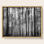 trees in forest landscape - black and white nature photography Serving Tray Gallery Image 1