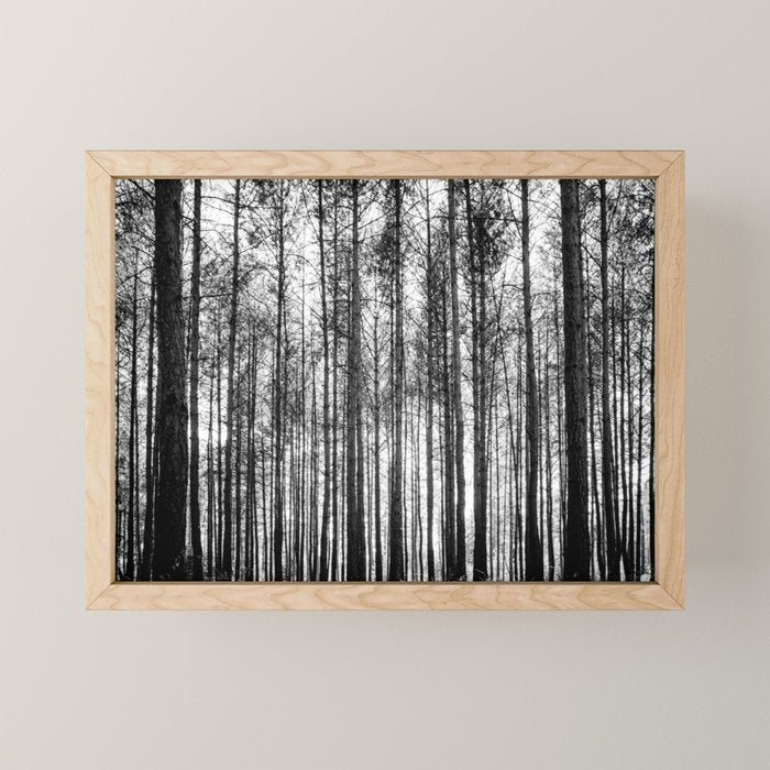 trees in forest landscape - black and white nature photography Mini Art Print Gallery Image 1