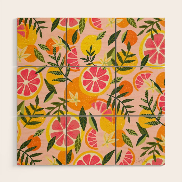 Grapefruit Blooms â Blush Wood Wall Art Gallery Image 1