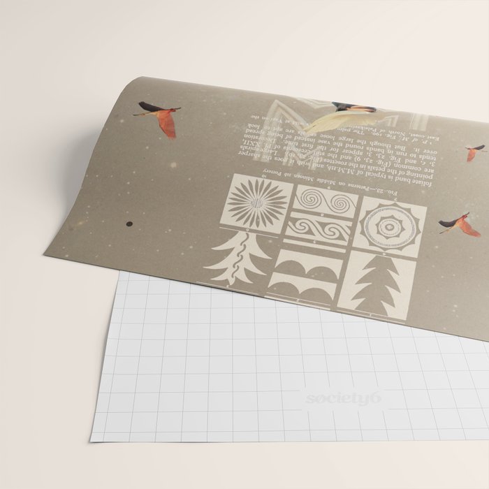Bird Whisperer Wrapping Paper Gallery Image 2