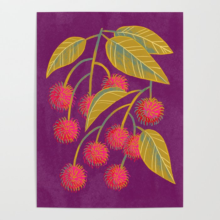 Rambutan Fruit Poster Gallery Image 4