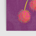 Rambutan Fruit Poster Gallery Image 3