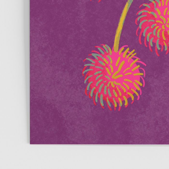 Rambutan Fruit Poster Gallery Image 3